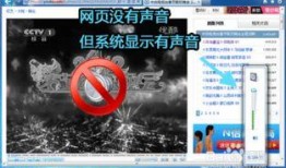 网页视频没有声音,探索无声中的故事与情感