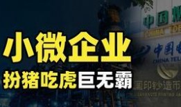 谷露视频,揭秘生活点滴，探寻美好瞬间