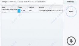 哔哩哔哩视频解析下载